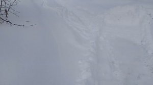 Опять снег и мотоблок с адаптером.