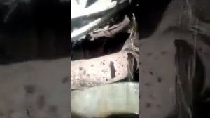 MAN tga течь масла по правому боку