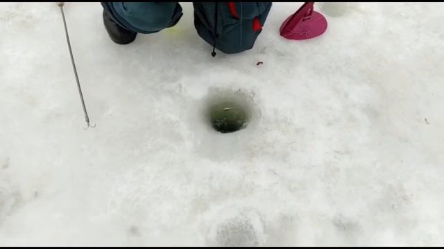 Онлайн спорт зона 04.03.21 смотреть онлайн