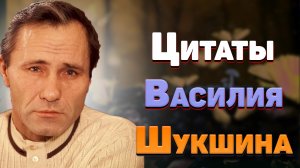 Лучшие цитаты Василия Шукшина, мудрые мысли и афоризмы