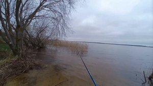 Ловля щуки и окуня после запрета на спиннинг с берега на джиг и блесну весной