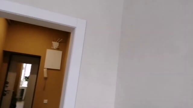 ДВЕРЬ НЕСТАНДАРТ, ВЫСОТА 195 СМ, ШИРИНА 65 СМ. ОТКОС 2М26СМ. смотреть онлайн