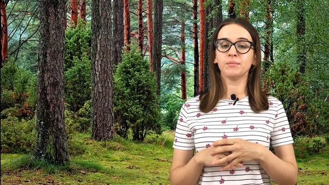 Приветствия и прощания в польском языке смотреть онлайн