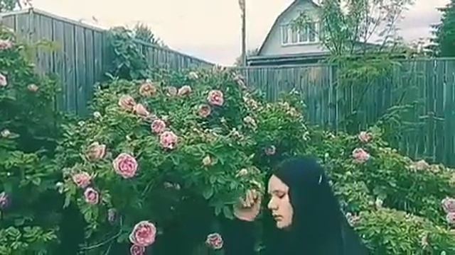 Мысли в моей голове пустота моих волос смотреть онлайн