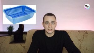 Как приучить котенка к лотку. Виды лотков и разновидность наполнителей