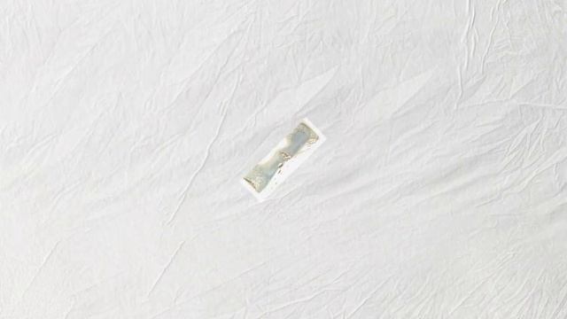 "Ёлка" В.Сутеев (1961) Сказка смотреть онлайн