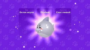 pk xd. PK XD ОБНОВЛЕНИЕ! PK XD СЕКРЕТНЫЕ КОРОБКИ ОБНОВЛЕНИЕ НАГРАД! pkxd! НОВЫЕ ЗАДАНИЯ В pk xd!