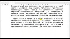 15 Кости верхней конечности и их соединения