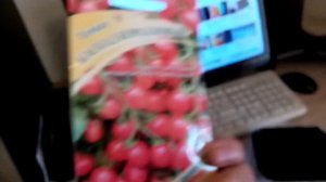 Взошли Семена Помидор   ЧЕРРИ  "КАСКАД КАРАЛЛОВЫЙ"  .Сладкие с Фруктовым АРОМАТОМ. 1 марта 2022г.