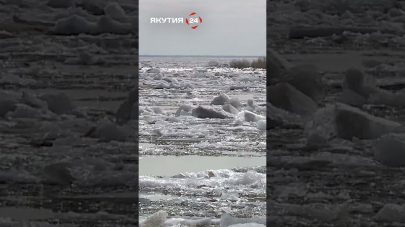 Ледоход приблизился к границам Якутии/Ice drift has approached the borders of Yakutia