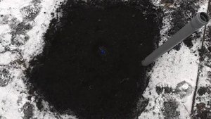 Укрытие винограда на зиму в первый год посадки