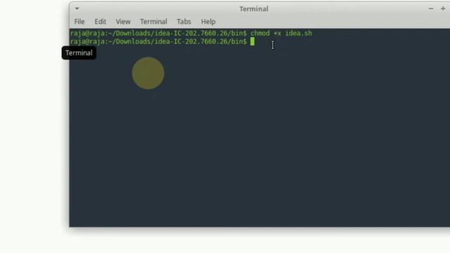 How to download/install intellij Idea on Linux