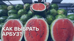Арбузы – польза и вред самой большой ягоды - Доктор 24