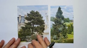 How to Draw a Realistic Pine Tree