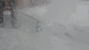 Аккумуляторная лопата для уборки снега Greenworks GD40SS обзор и тест