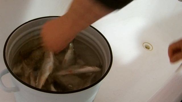 СКОЛЬКО НУЖНО ВЫМАЧИВАТЬ РЫБУ ? смотреть онлайн