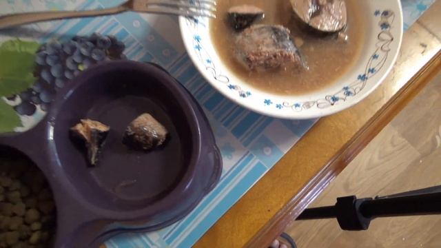 ТУНЕЦ ИЗ ФИКС ПРАЙС,тунец натуральный куски,Русский рыбный мир,натуральный тунец,тайна океанов смотреть онлайн