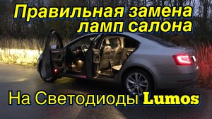 Skoda Octavia a7 Правильная Замена Ламп салона на Lumos