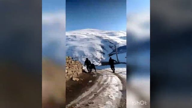 Самый сильный бык в мире смотреть онлайн