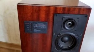 акустическая система Старт 35 АС-028