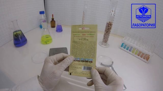 Огурец Кадриль F1. Гавриш смотреть онлайн