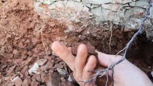 Про слой "Красной-приозёрной глине в глубине. Показываю как она выглядит при добыче в глубину