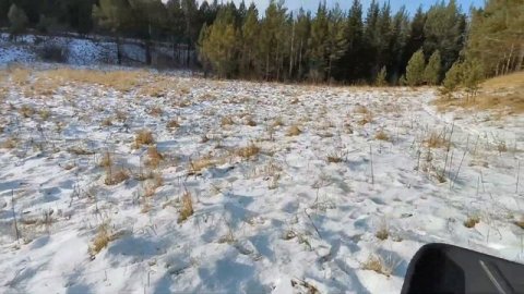 Тофик в деле.Обкатка и выезд в лес на ручей. #мотобуксировщик #тофалар500 #тофаларлонг