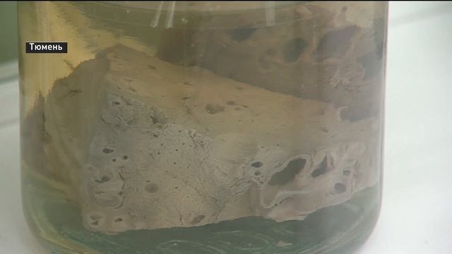 Тюменка купила рыбу с червями смотреть онлайн