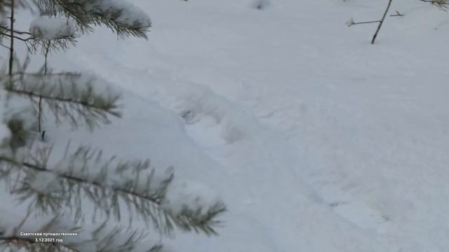 Прогулка пенсионера, часть-3. Нижний Тагил. 3.12.2021 год смотреть онлайн