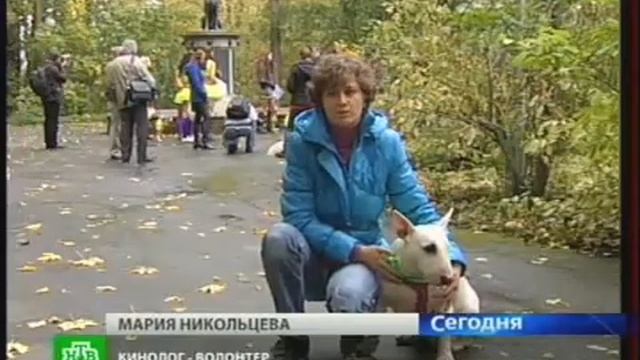 Питерские собаководы.mp4 смотреть онлайн