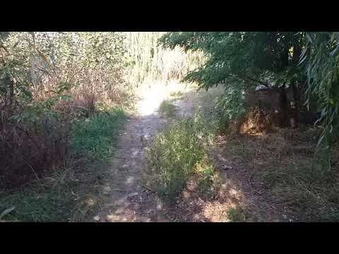 малибу Велопокатушки смотреть онлайн