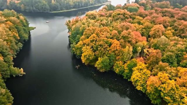 Расслабляющая пианино музыка для отдыха сна 🌿 Фортепианная музыка для релаксации и снятия стресса #