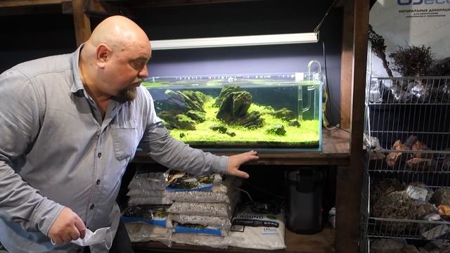 #aquascaping #aquadesign Акваскейпинг. Обзор моих аквариумов у Дмитрия Кашкарова.