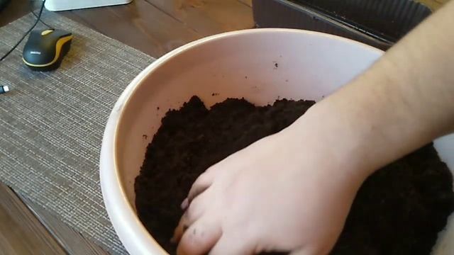 Готовим очень эффективный и бюджетный состав грунта, для посева лука // Секреты хороших урожаев. смотреть онлайн