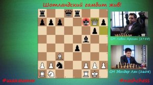 Шотландский гамбит жив!