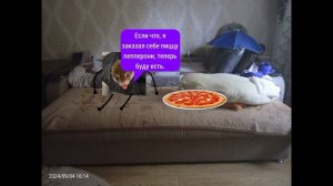 Мульт-история 12-я серия)