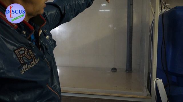 СУПЕР АКВАРИУМ ДЛЯ ДИСКУСОВ! смотреть онлайн