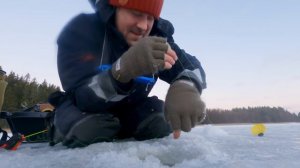 3,5 kg KIRJOLOHI iski ahvenpilkkiin MERELLÄ