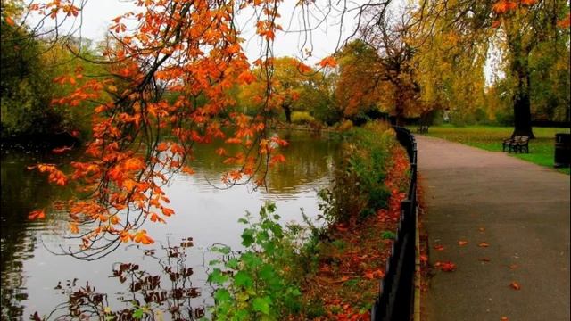"Листопад" смотреть онлайн