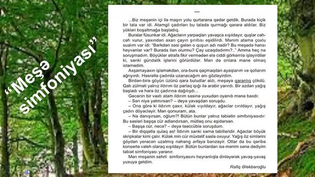 5-ci sinif Azərbaycan dili - Meşə simfoniyası смотреть онлайн