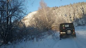 Лес Зима Отдых Прогулка Релакс