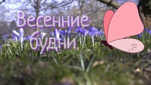 Эстония.Таллинн влог.С Яной по магазинам.Что с ценами на яйца?Центр Таллинна в цветах.Обзор покупок