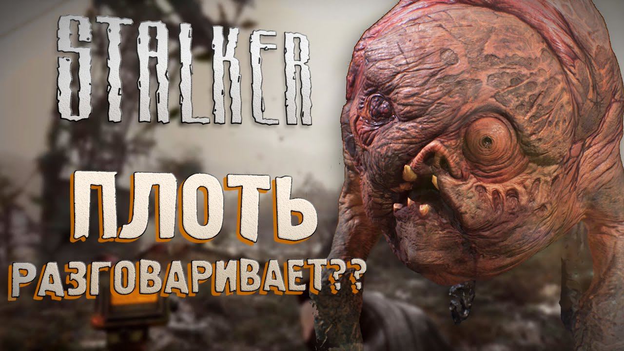 [S.T.A.L.K.E.R.] ОБЗОР НА ПЛОТЬ