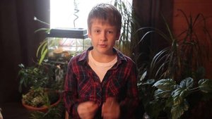 Реснитчатый бананоед, как правильно завести дома, как содержать бананоеда, как кормить бананоеда