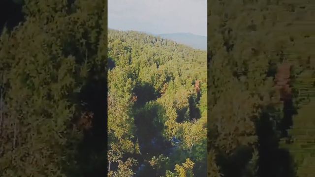 Что для тебя означает действовать? Ты творец своей жизни или раб судьбы? #жизнь#судьба#тренд#выбор