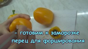 ПЕРЕЦ замороженный / Как заморозить перец / Замораживаем болгарский перец