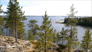 Беломорская биологическая станция имени Н. А. Перцова (ББС МГУ, WSBS).