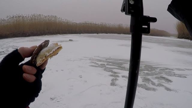 Хоть и ПРОВАЛИЛСЯ но НАЛОВИЛ, Зимняя рыбалка на Леща, Ловля леща со льда, Лещ смотреть онлайн