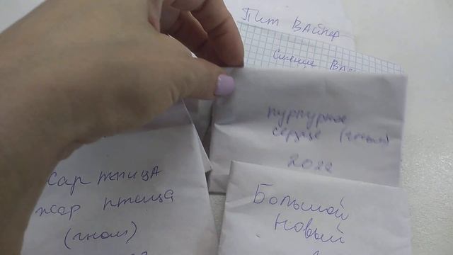 ЛУЧШИЕ Низкорослые ТОМАТЫ. Растут в любых УСЛОВИЯХ смотреть онлайн