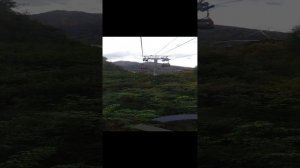 VID20221015094242.mp4